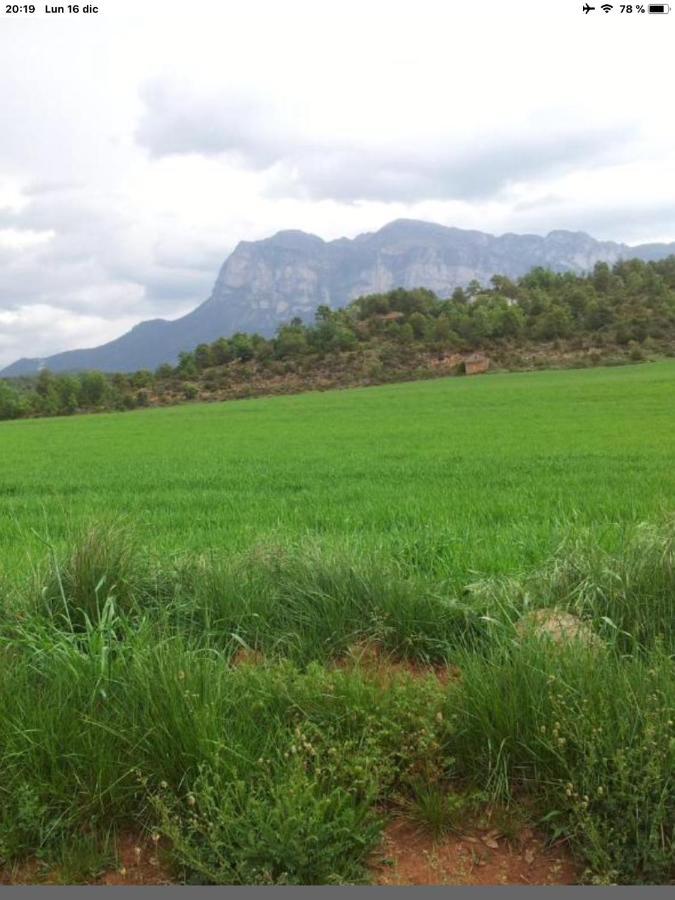 Preciosas Vistas A La Montana, Luminoso Y Acogedor Apartment El Pueyo de Araguas ภายนอก รูปภาพ
