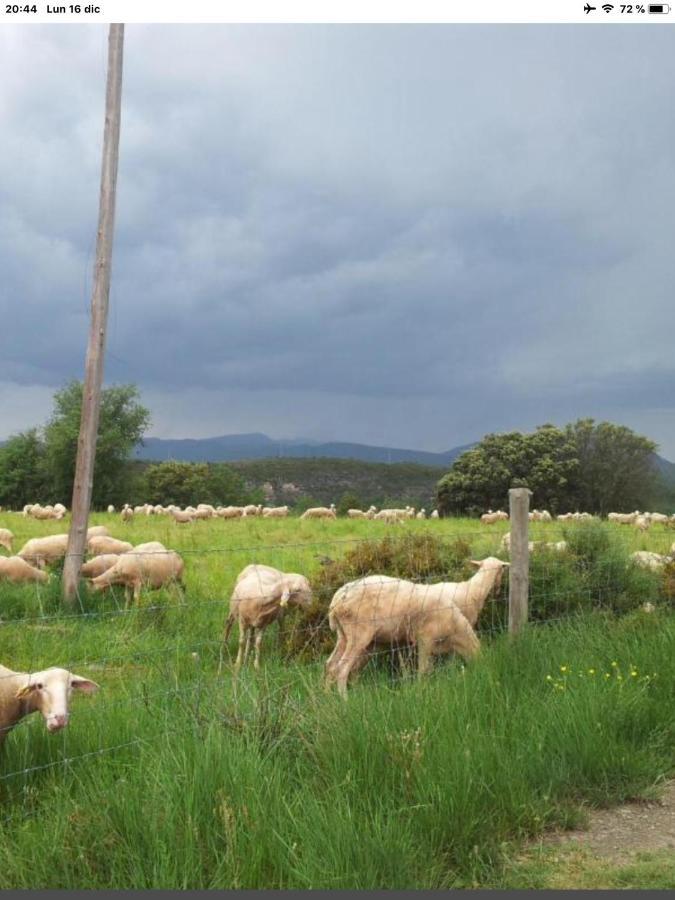 Preciosas Vistas A La Montana, Luminoso Y Acogedor Apartment El Pueyo de Araguas ภายนอก รูปภาพ